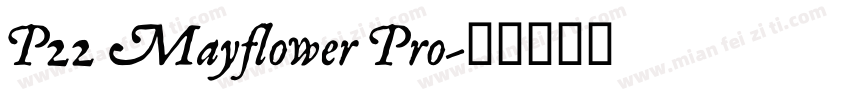 P22 Mayflower Pro字体转换